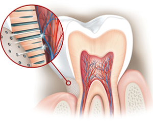 denti-sensibili-3-300x238